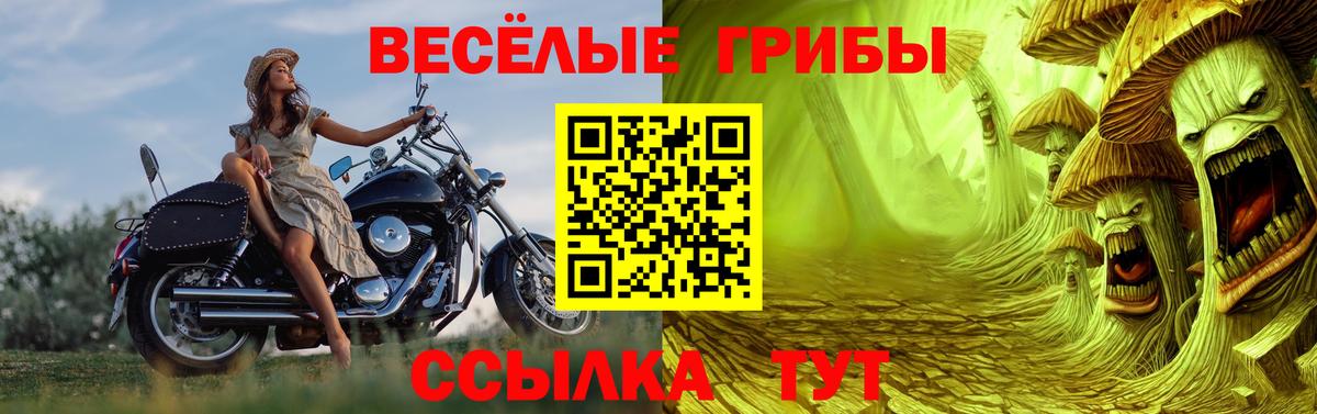 Псилоцибиновые грибы Magic Shrooms  Вход с VPN  Изобильный  Галлюциногенные грибы мицелий 