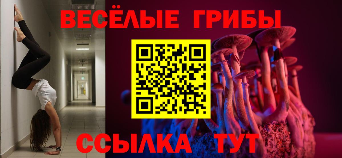 Галлюциногенные грибы Cubensis Изобильный